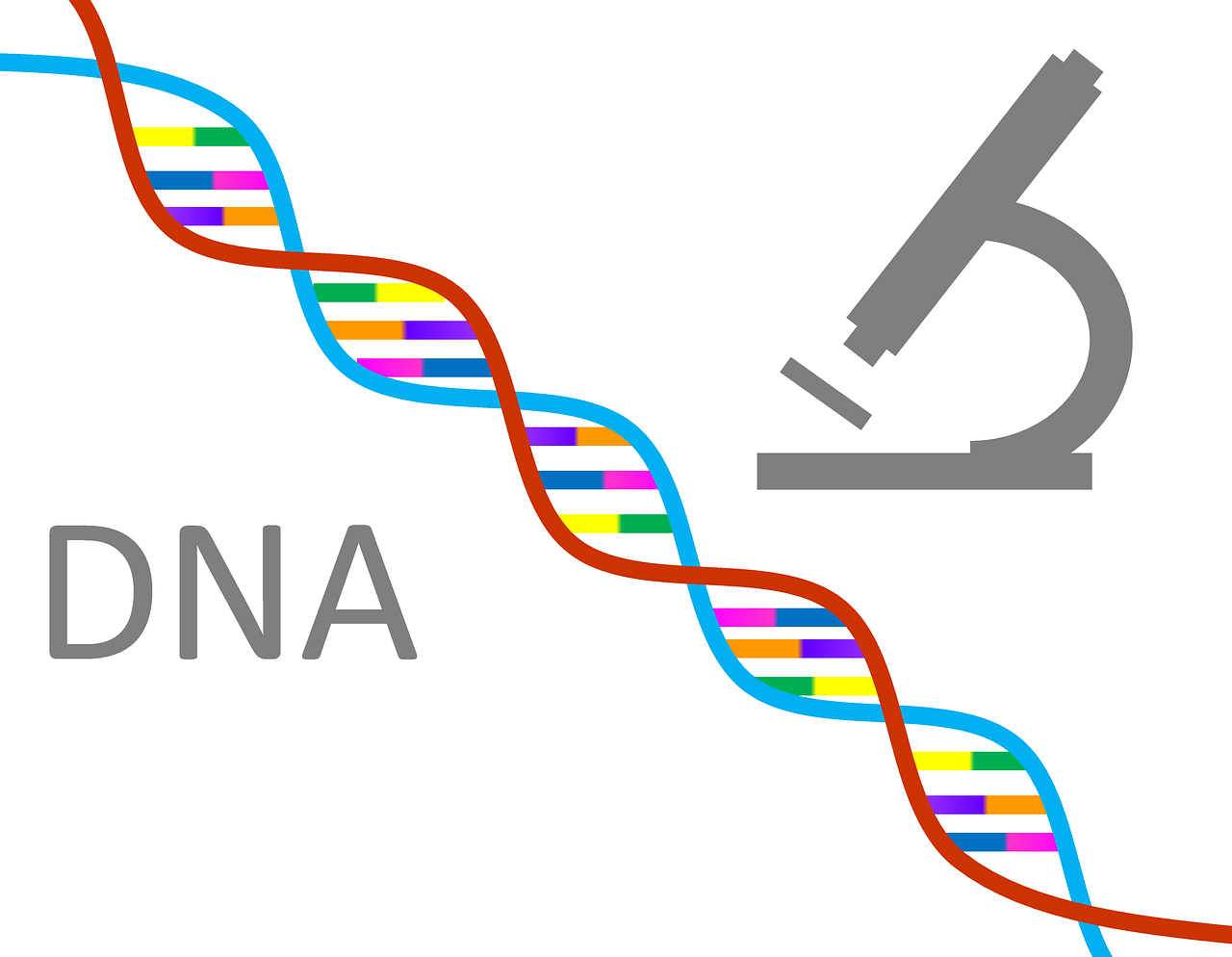 晚上澳门开什么人的基因影响生物结构，探索基因与生物学的奥秘联系，基因影响生物结构，探索澳门夜晚的基因与生物学奥秘联系之旅