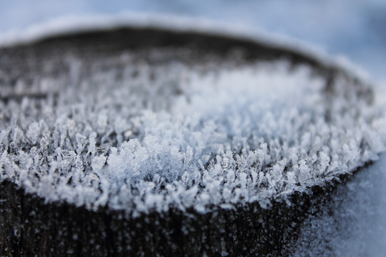 揭秘真相，内蒙古是否真的下雪？气候深度探究