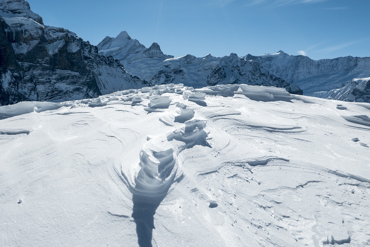 冬日雪舞，雪花纷飞的美景