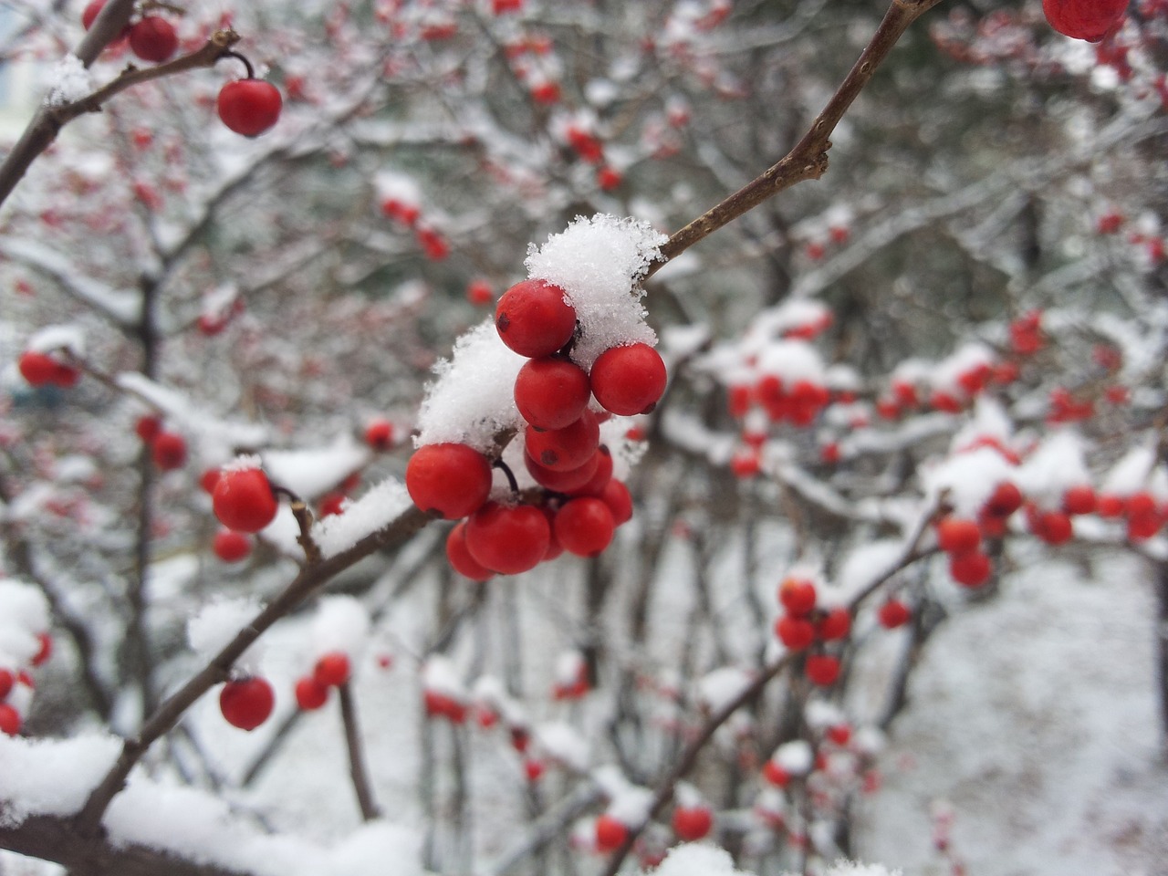 小雪上冬，诗意与哲理的交融时刻