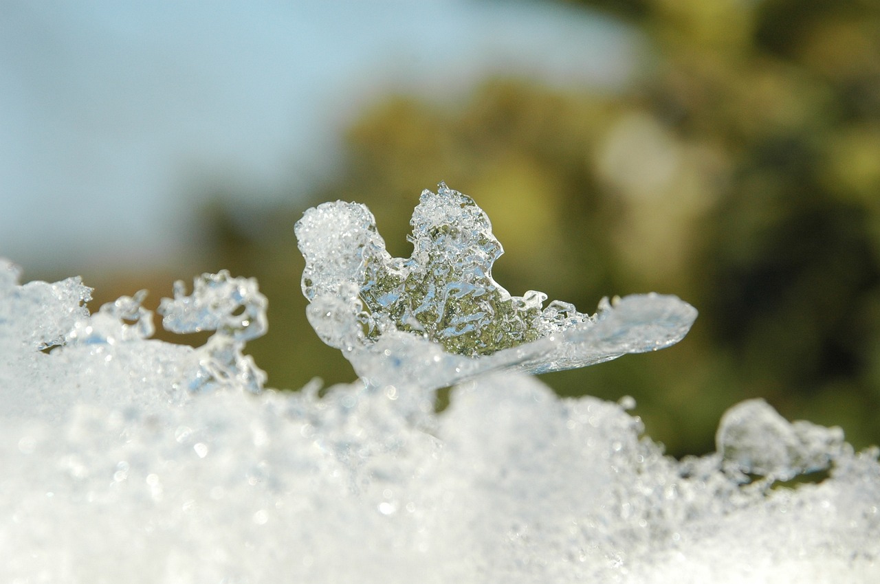 小雪上冬，诗意与哲理的交融时刻