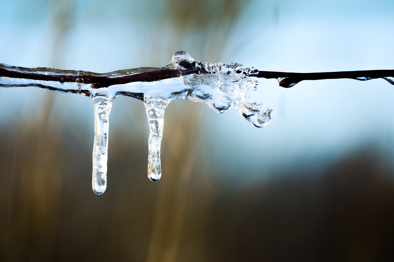 小雪节气时的气温特点，冷不冷？