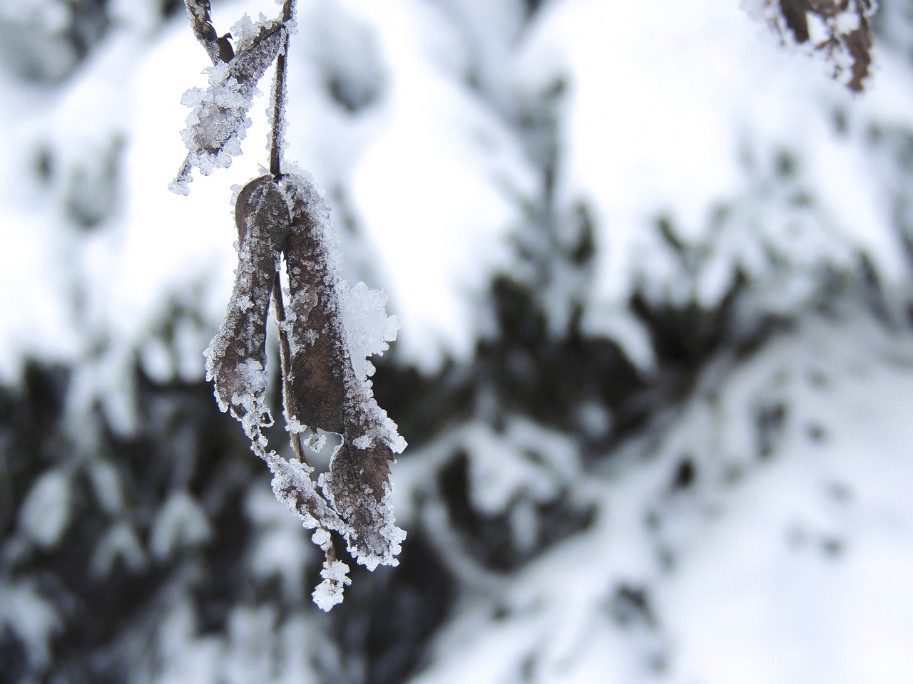 辽宁冬季遗韵，冰雪魅力与积雪地区探秘