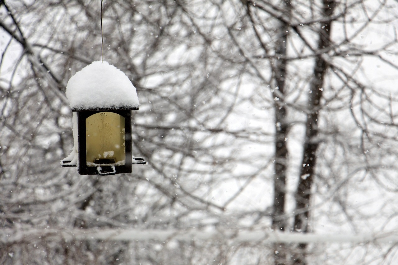 寒冬雪景的魅力与挑战，探索十二月大雪天气的壮丽与考验