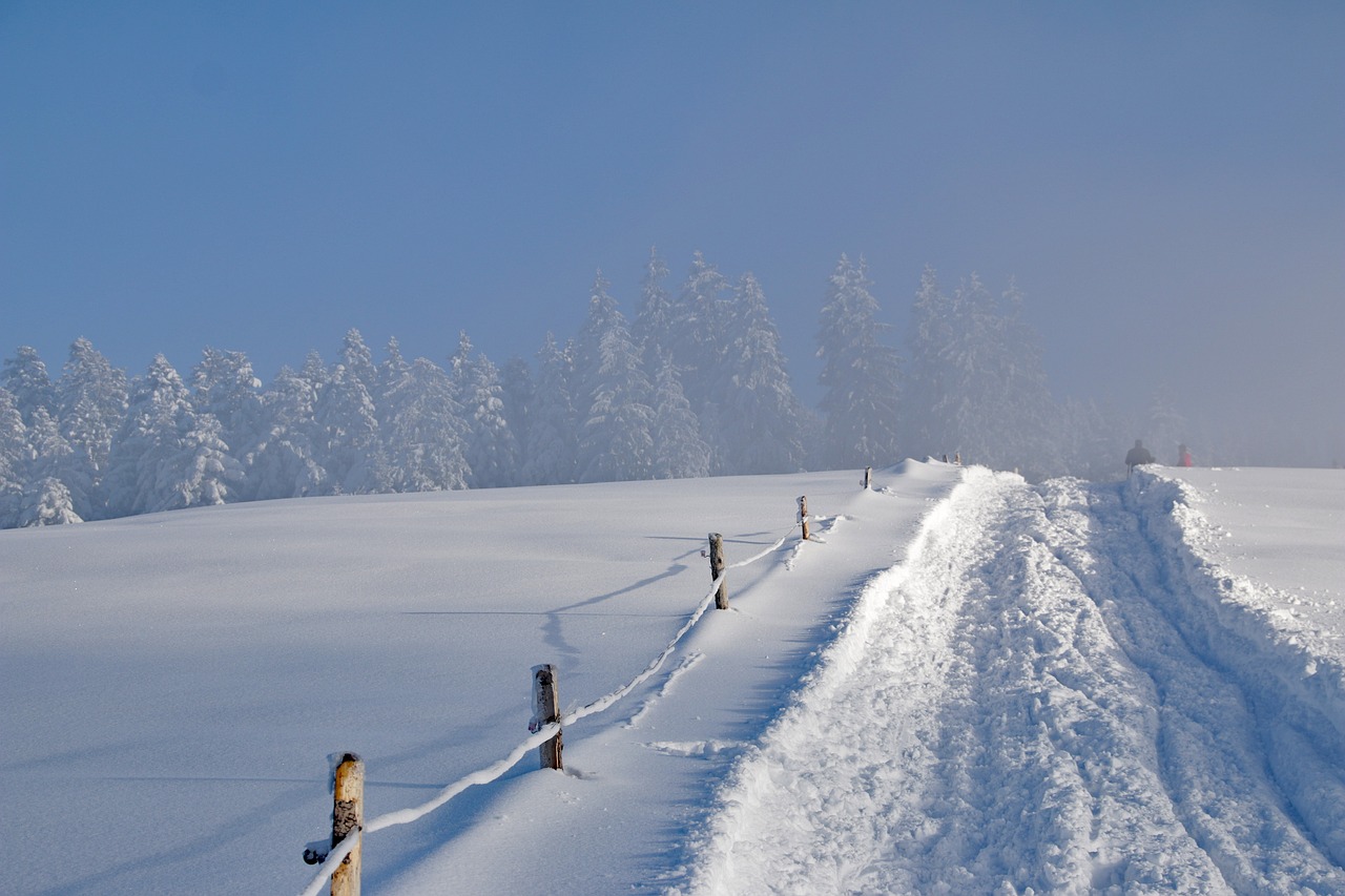 寒冬雪景的魅力与挑战，探索十二月大雪天气的壮丽与考验